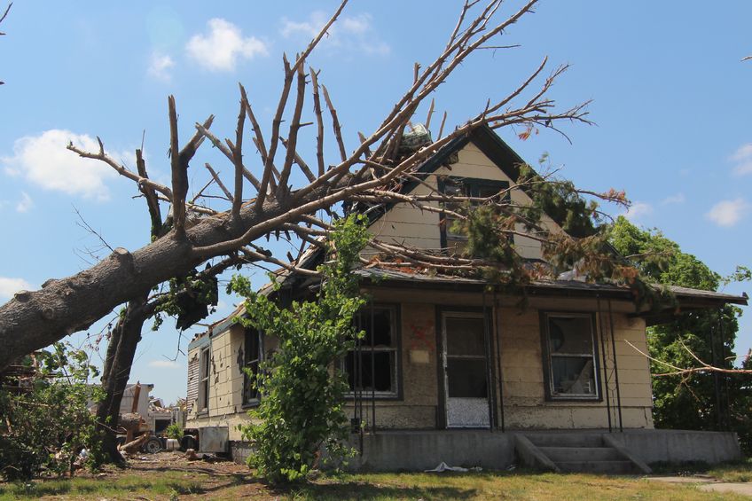 What to do if a tree falls on your roof.