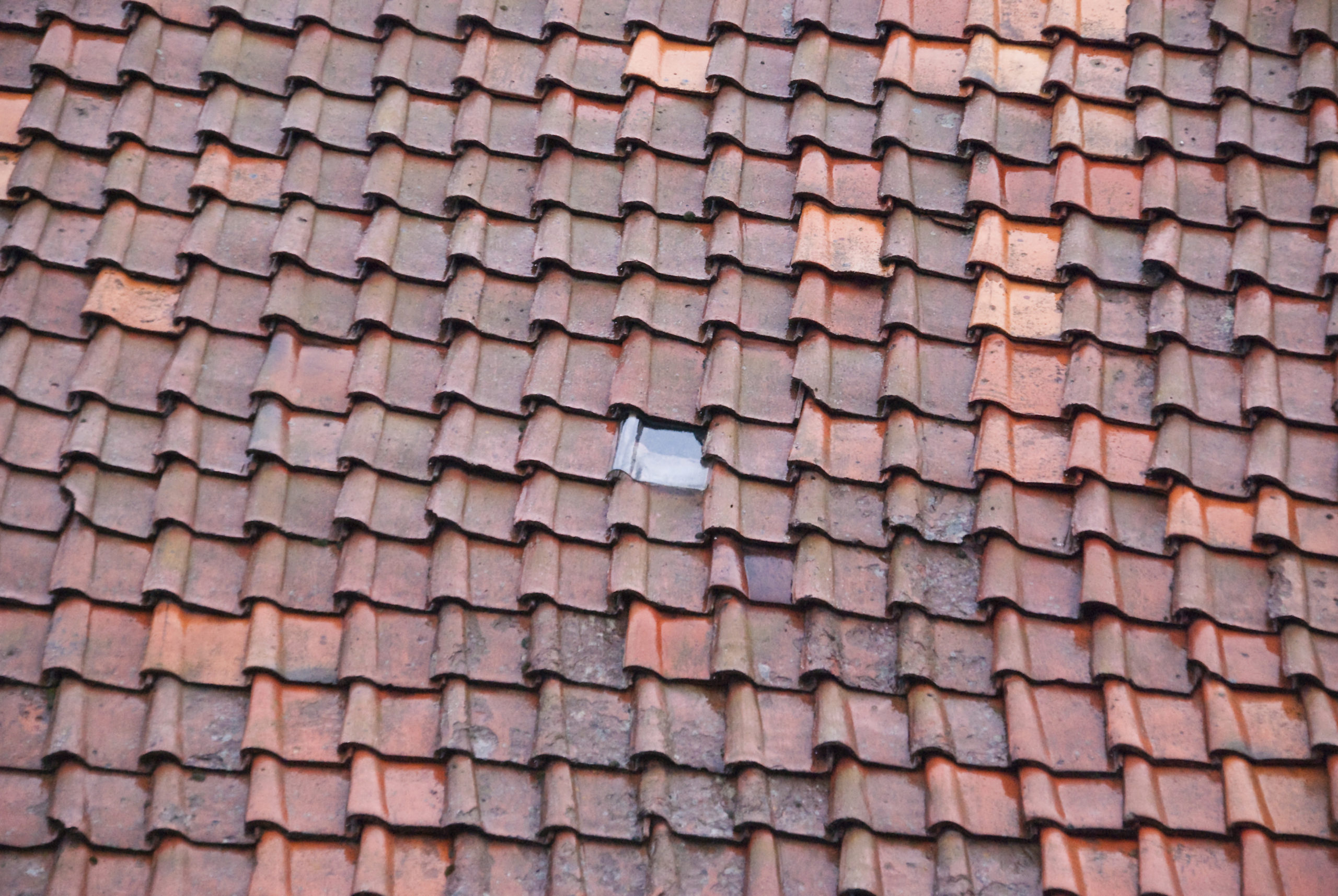 roofing services near me